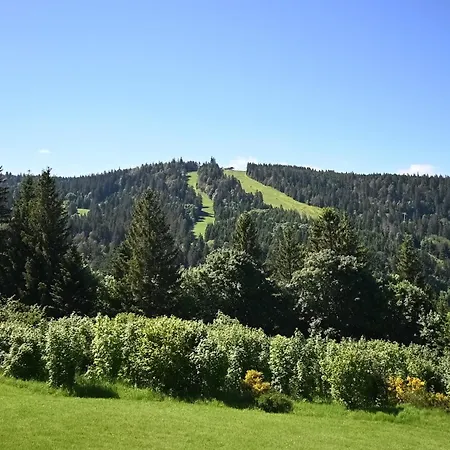 Appartement Le Nid Des Vosges - Appt Vue Montagne Gérardmer