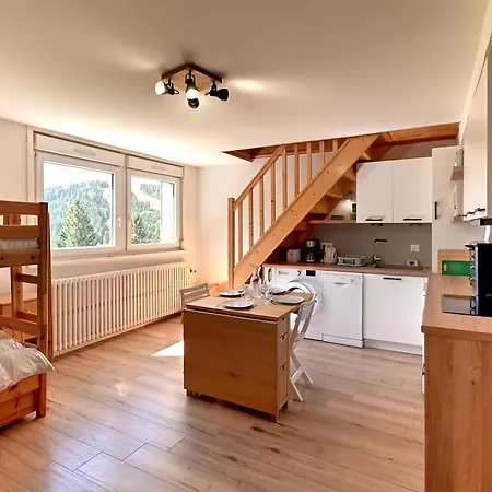Le Nid Des Vosges - Appt Vue Montagne 아파트